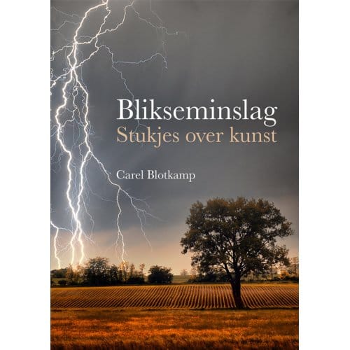 Blikseminslag - Carel Blotkamp