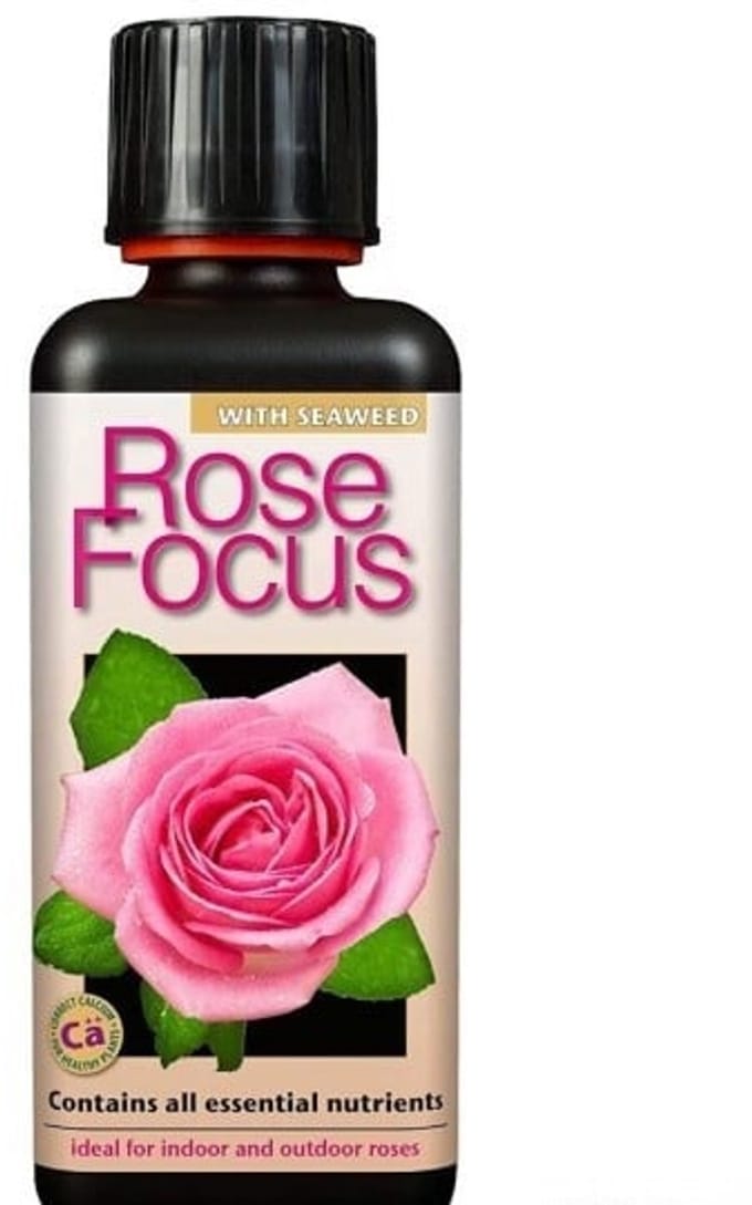 GROWTH TECHNOLOGY ROSE FOCUS 500ML