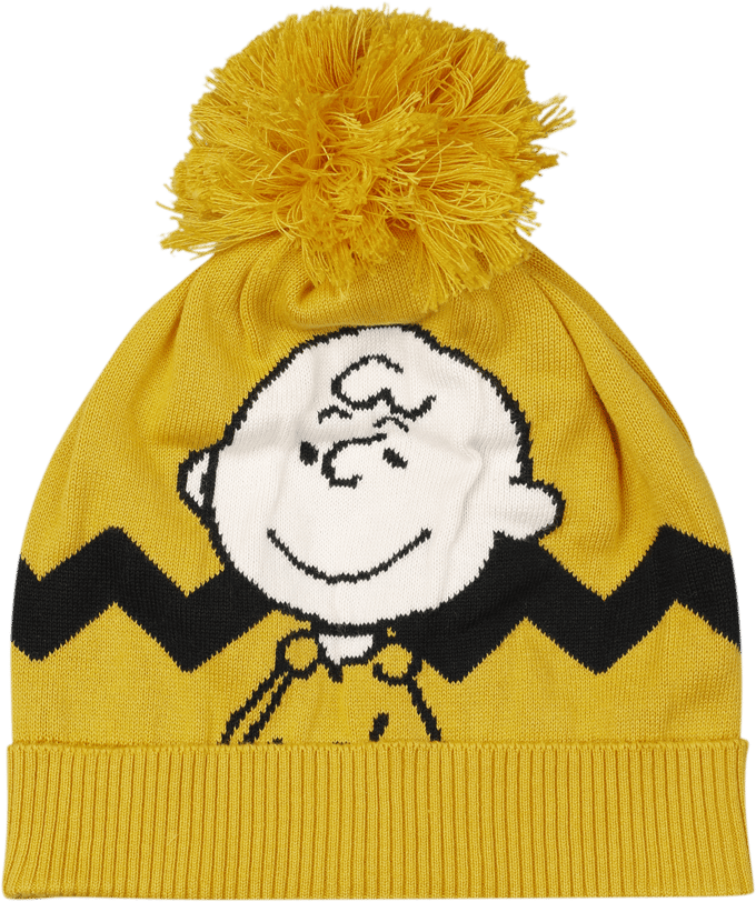 Peanuts Charlie Brown Unisex Beanie - meerkleurig - Standard