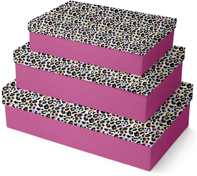 Clairefontaine Cadeaudozen set Leopard, 3-delig
