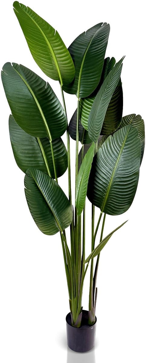 Dailygoods - Strelitzia Kunstplant 180 cm - Realistisch en Onderhoudsvrij