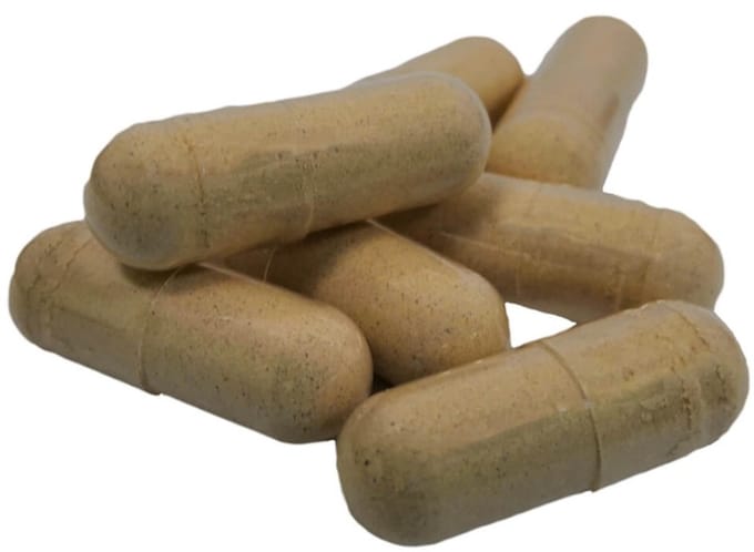 Shiitake Capsules 450mg - 5000 Capsules - VehGro