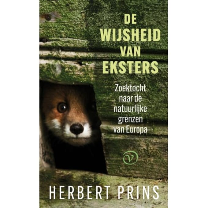 De Wijsheid Van Eksters - Herbert Prins