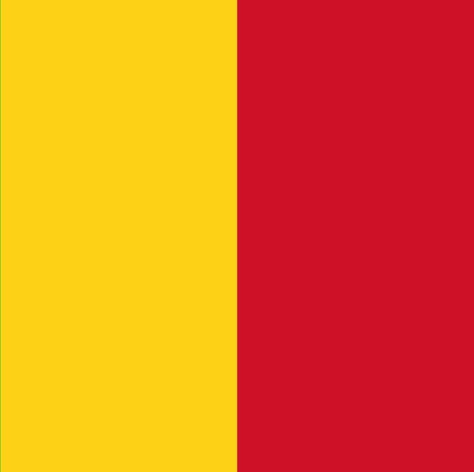 Vlag Mali 70x100cm