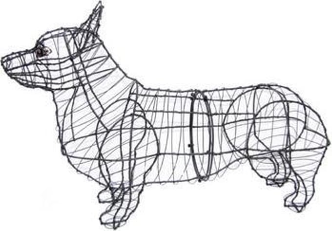Hond Corgi - Frame