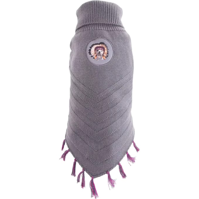 Hondentrui Martin Sellier Teo Apache