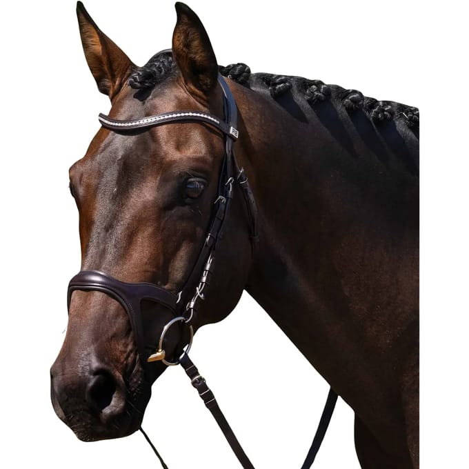 Paardentuig Premier Equine San Paolo