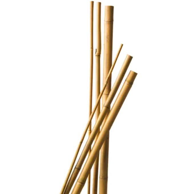 Nature Bamboestok H180cmxø14-16mm 3 Stuks