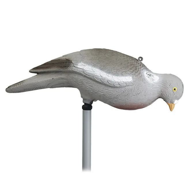Pigeonvoer zonder poot Stepland (x12)