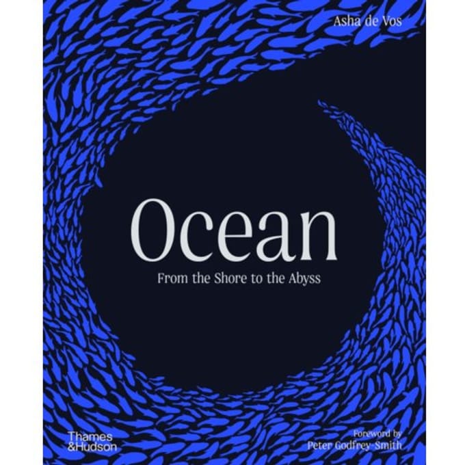 Ocean - Asha de Vos