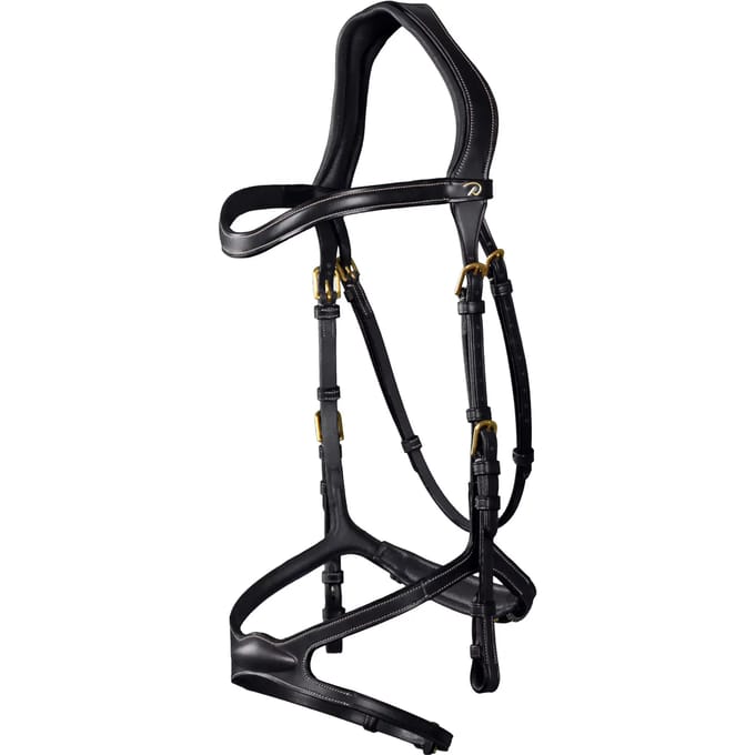 Anatomisch hoofdstel met kruisneusriem Dy'on X-Fit