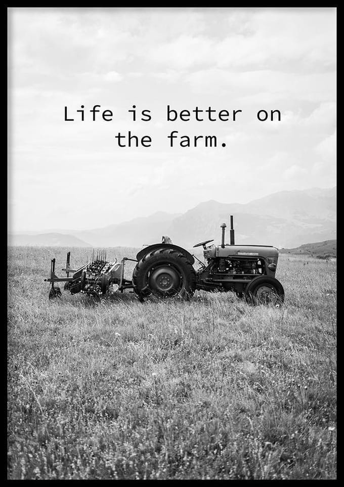 Poster Life is Better - 50x70cm - Quote Poster