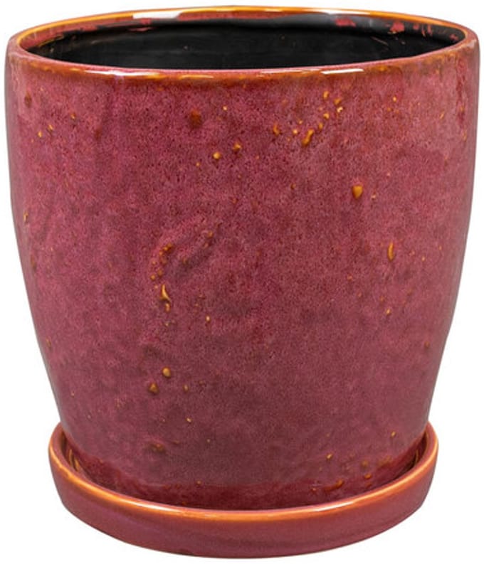 Ter Steege Bloempot-Pot met Schotel Rood-Paars D 17 cm H 16 cm