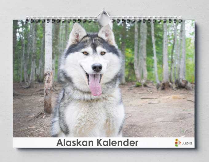 Huurdies - Verjaardagskalender - Alaskan Malamute - A3