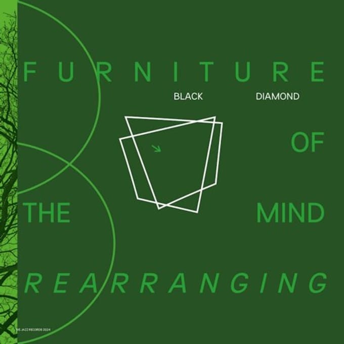 Furniture Of The Mind Rearranging - Black Diamond