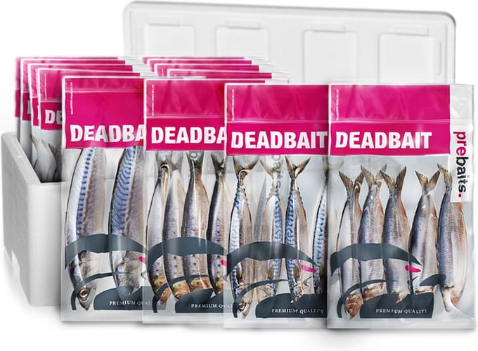 Statisch Doodaas Snoekbox Large - Doodaas - Aasvis - Doodaas Vissen - Doodaas Set - Dood Aas Snoek -
