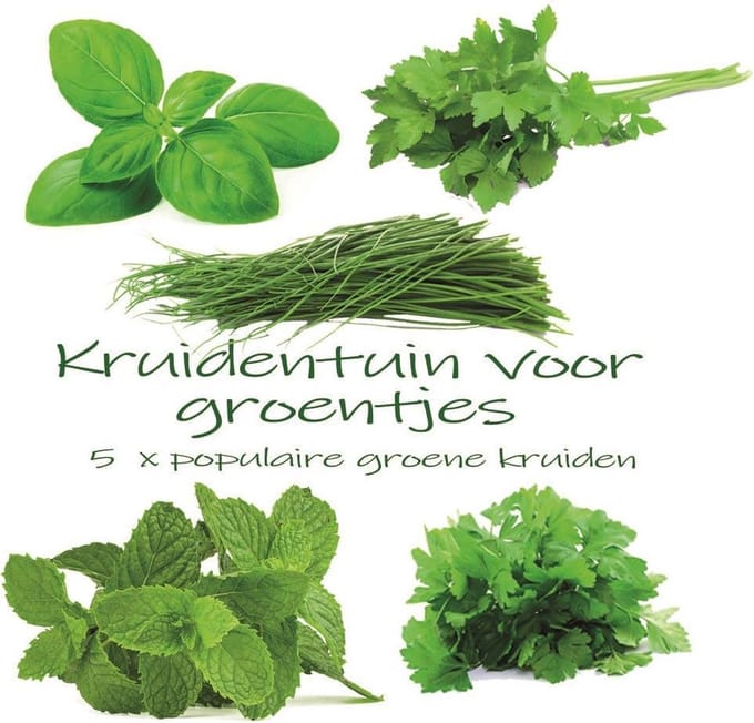 Kruidentuin voor Groentjes - 5 Populairste Kruidenzaden voor Elke Tuin