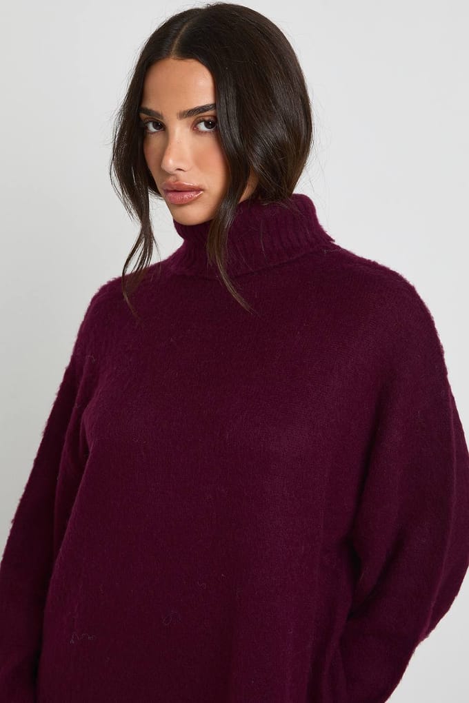 boohoo Dames Petite Super Soft Geborstelde Gebreide Rolkraag Mini-Jurk | Aubergine | Maat: Medium