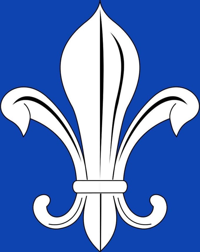 Vlag Mesen 100x150cm