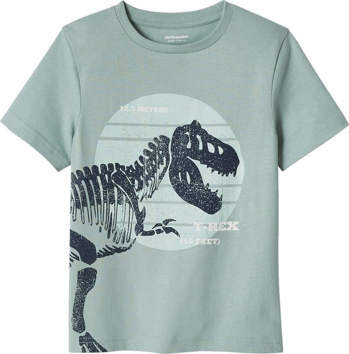Vertbaudet Jongensshirt met grote dinosaurusprint