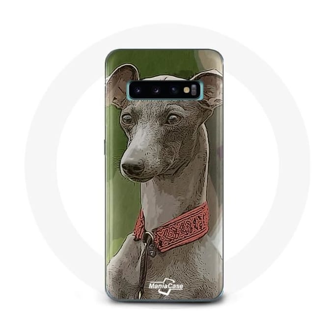 Coque - Samsung - Galaxy S10 - Souple - Lévrier greyhound - Gris gris