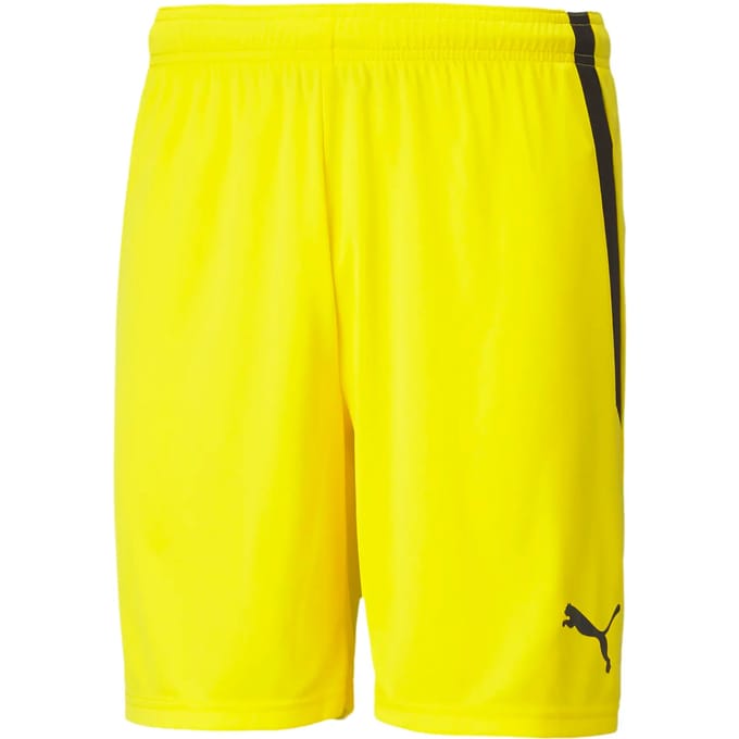 Short Puma Team Liga