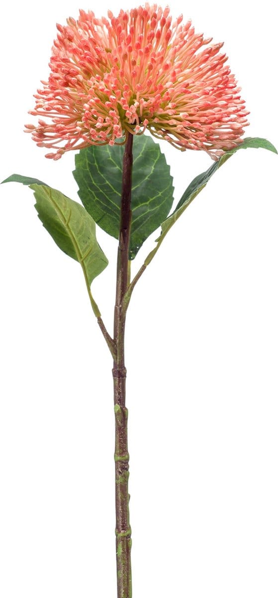 Emerald - Kunstbloem Vetkruid 43cm peach - Kunstplant voor binnen