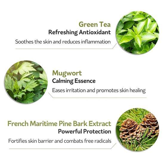 [PESTLO] Spicule Reborn Peeling Mask 120g beige