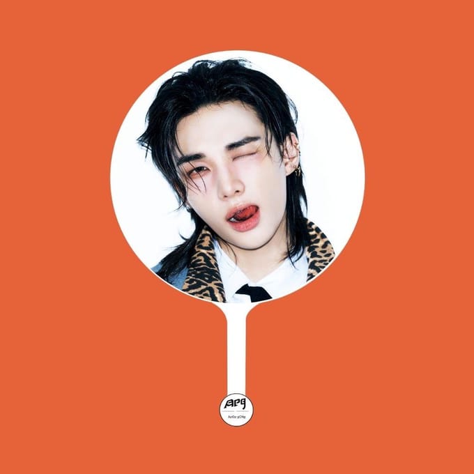 Stray Kids × ApopGong(DIT & DAT)exclusieve IMAGE PICKET A versie Hyunjin black