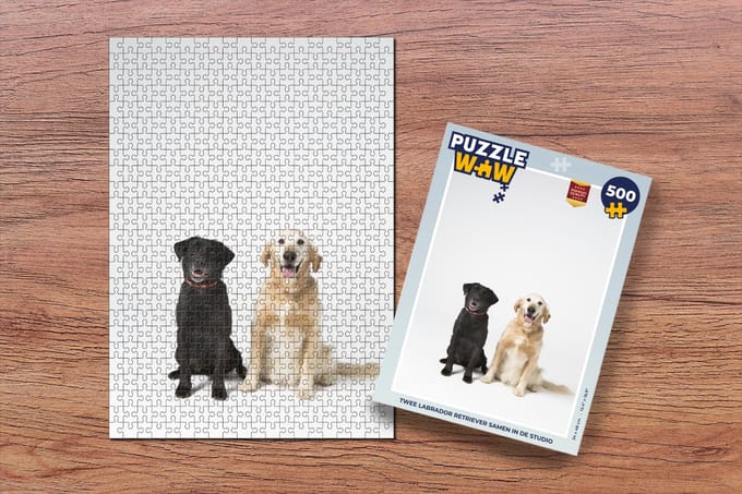 Puzzel Twee Labrador Retriever samen in de studio - Legpuzzel - Puzzel 500 stukjes
