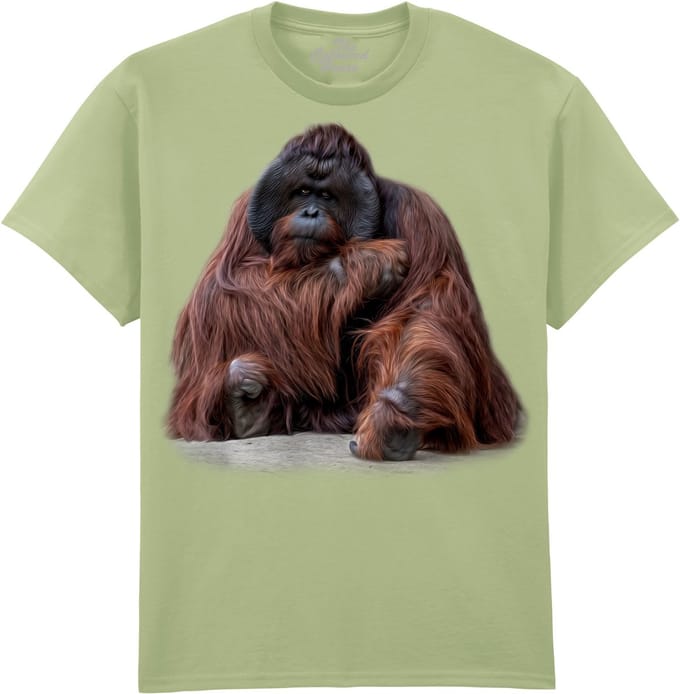 Orangoetan Wisdom Beyond Words - Orangutan The Coloured House T-shirt S