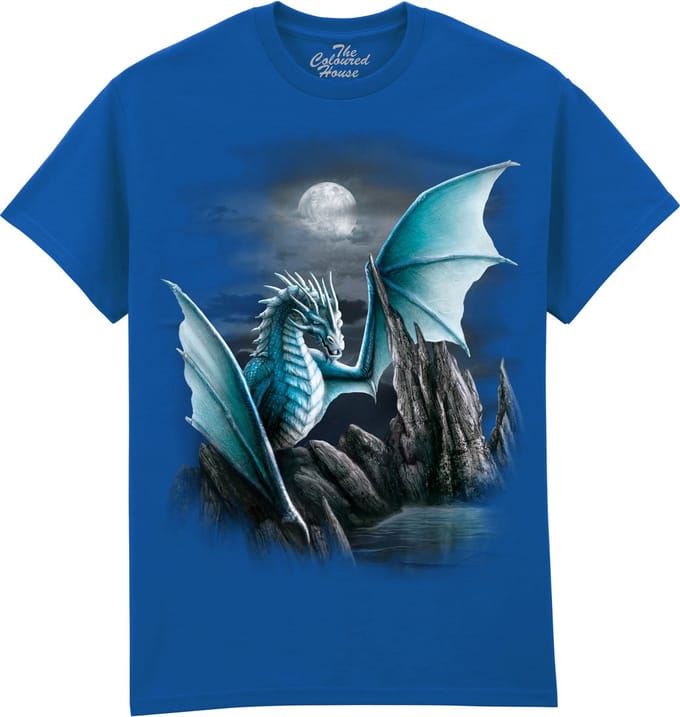 Draak Cameron Dragon The Coloured House T-shirt M
