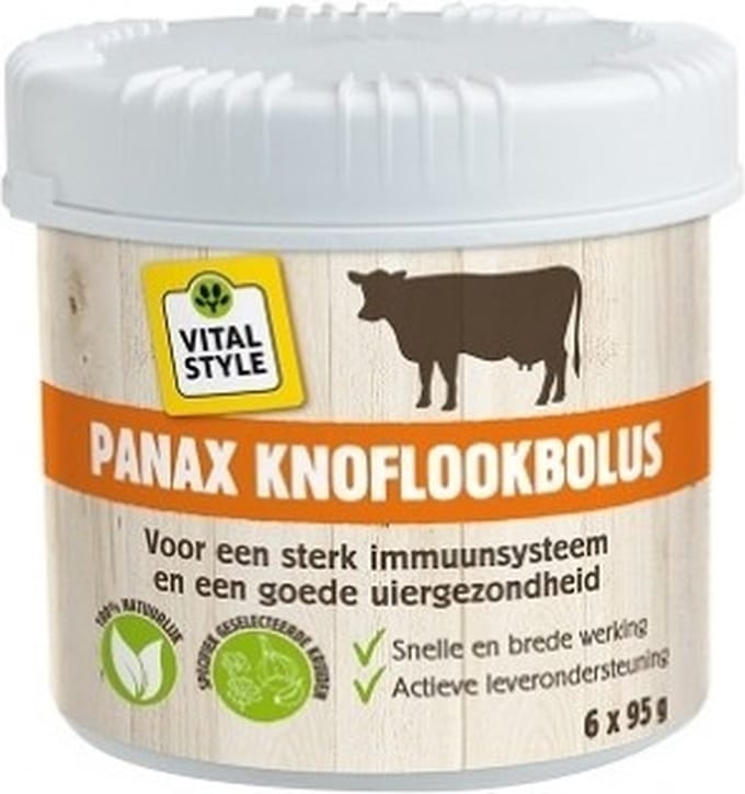 VITALstyle Panax Knoflookbolus 6 x 95 gram