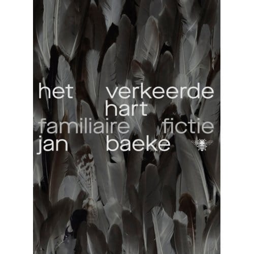 Het Verkeerde Hart - Jan Baeke
