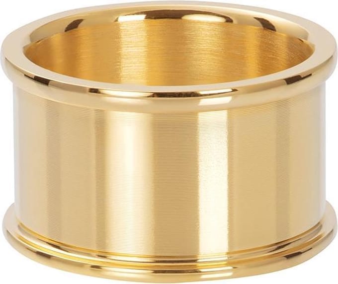 iXXXi Basisring R1801-01 Goud 12mm (16-21MM)
