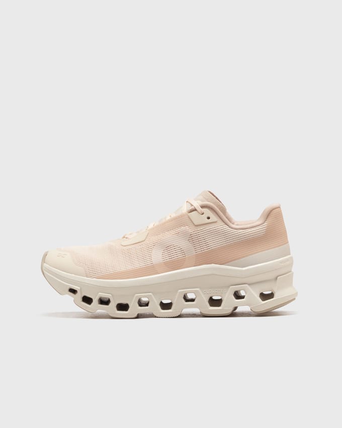 WMNS Cloudmonster Void