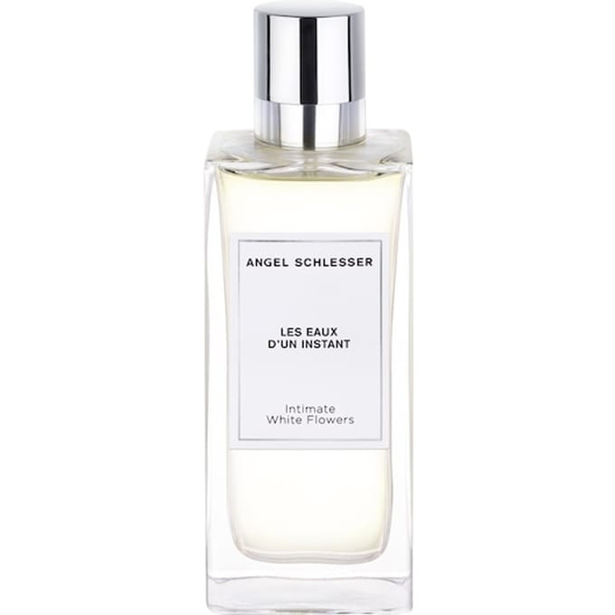 Angel Schlesser Les Eaux d'un Instant Eau de Toilette Spray Herenparfum Unisex 100 ml