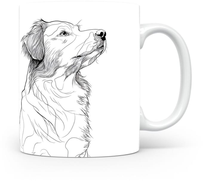 Beker Nova Scotia Duck Tolling Retriever