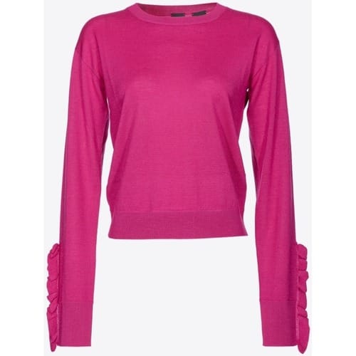 Trui Pinko 101991A189