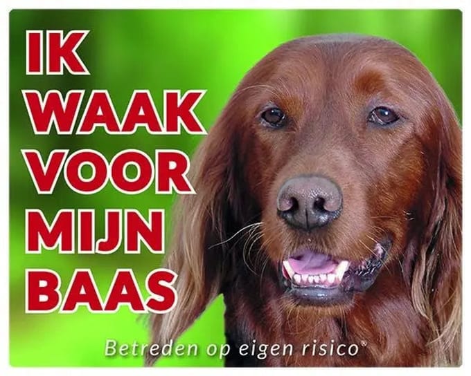 Ierse Setter Waakbord - Ik waak voor mijn baas