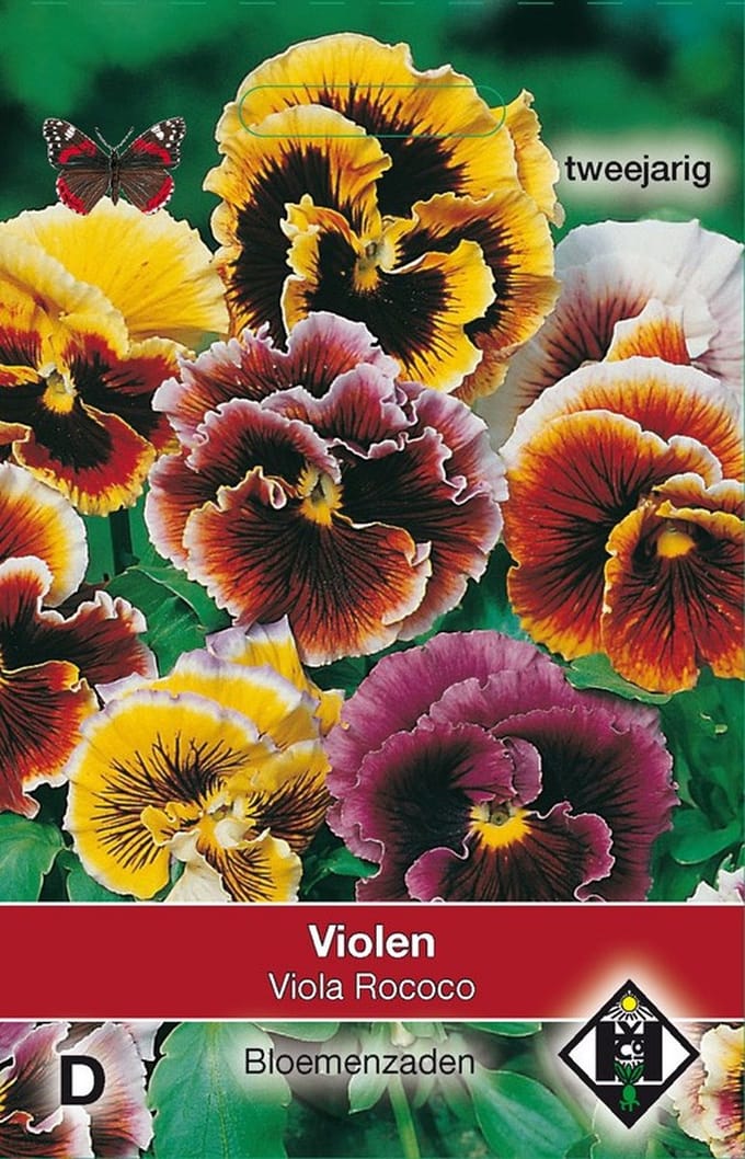 2 stuks Van Hemert & Co Viola x wittrockiana RococoVan Hemert & Co