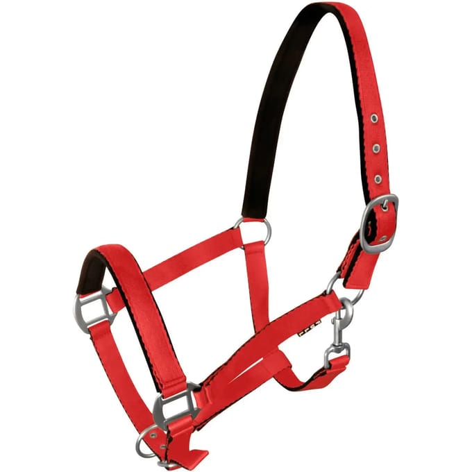 Halster voor paarden York