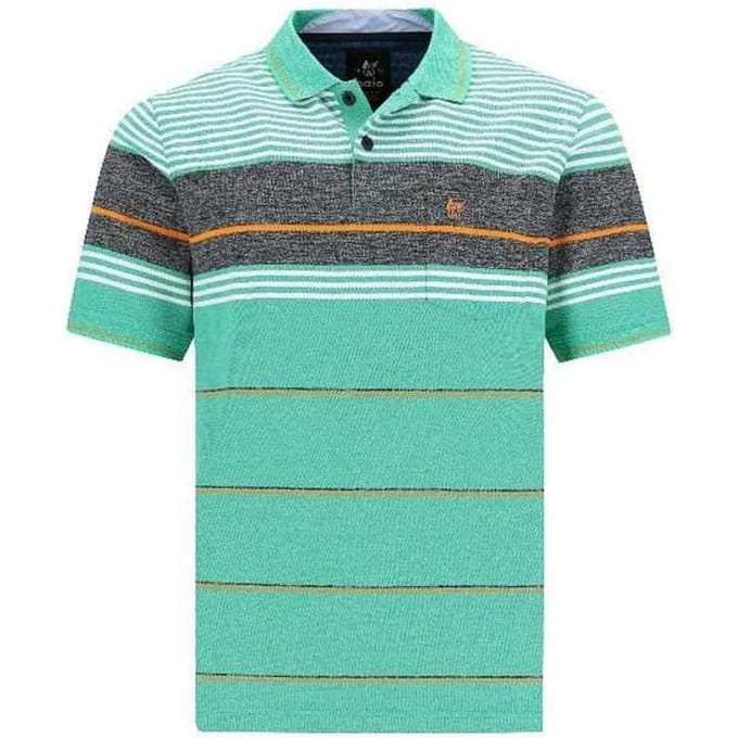 hajo polo