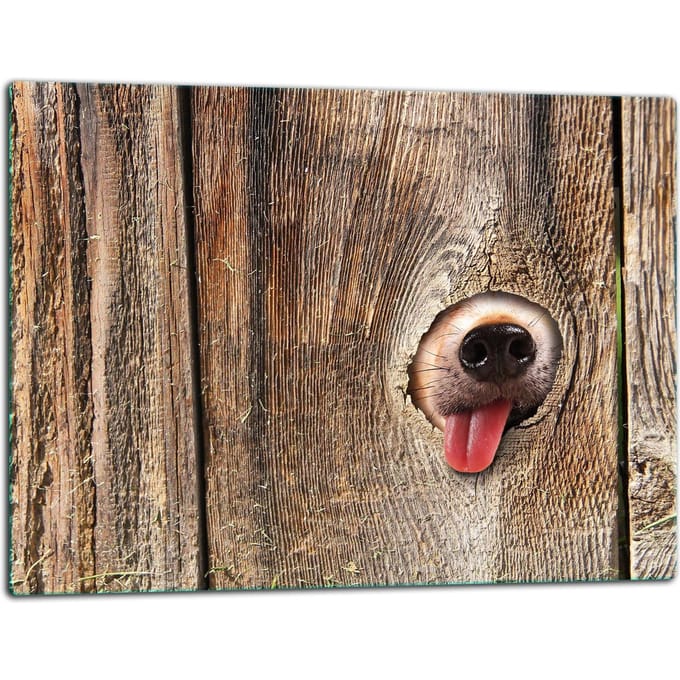 TMK ArtDeko - Snijplank - Glas - 52x40cm - Inductie