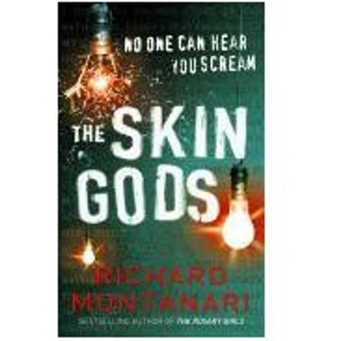 The Skin Gods - Richard Montanari