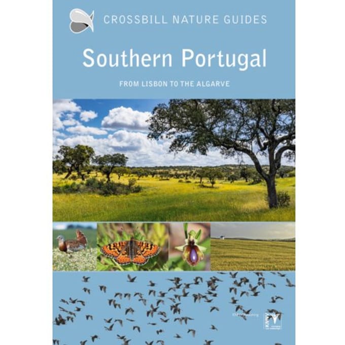 Southern Portugal - Crossbill Guides - Dirk Hilbers