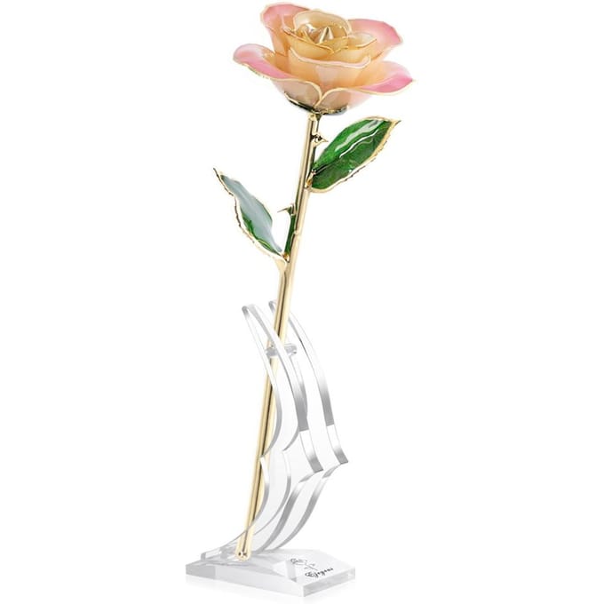Ejoyous 24K Gouden Echte Roos Verguld met Rozenstandaard Roze Crème beige