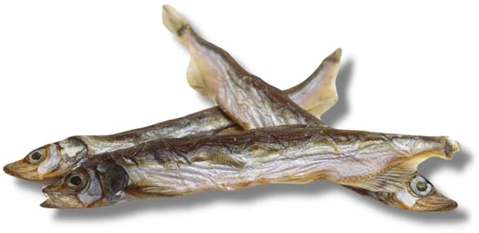 De-Tail Gedroogde vissnack Lodde zak 200 gram
