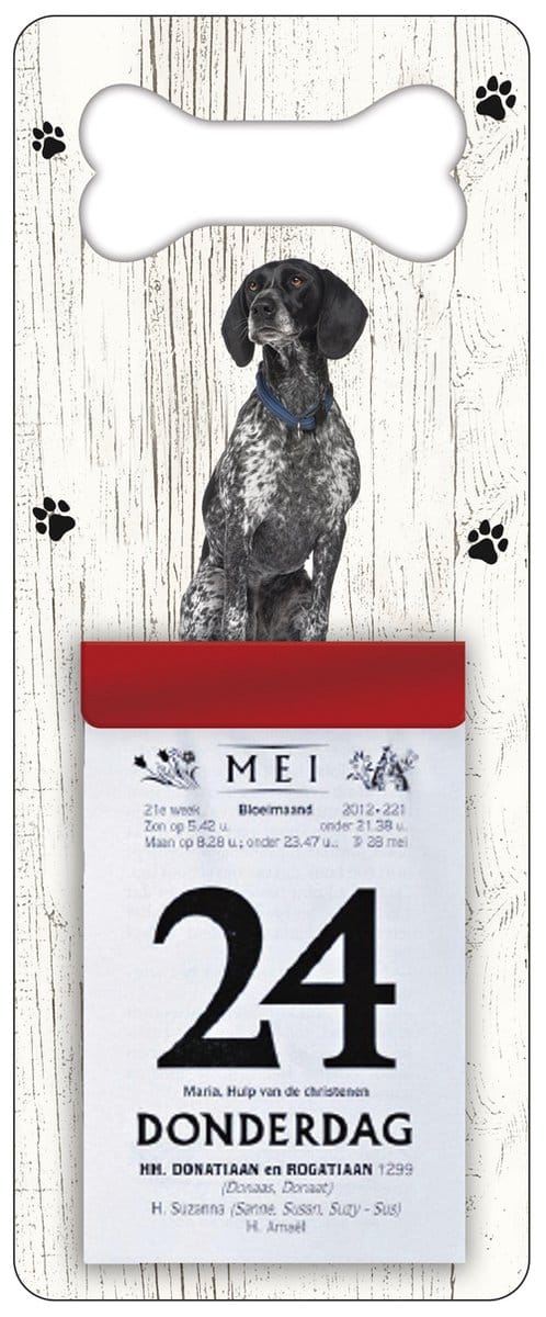Scheurkalender 2027 Hond: Braque d Auvergne