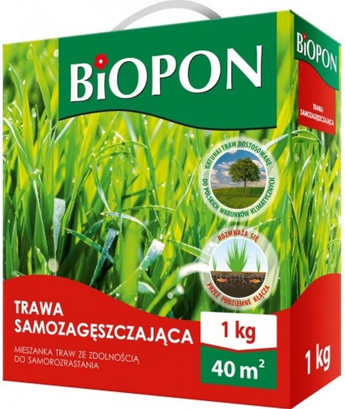 Graskorrels - Gazon Zaad - Mooie Tuin - Zelfherstellend - 1kg 40m²